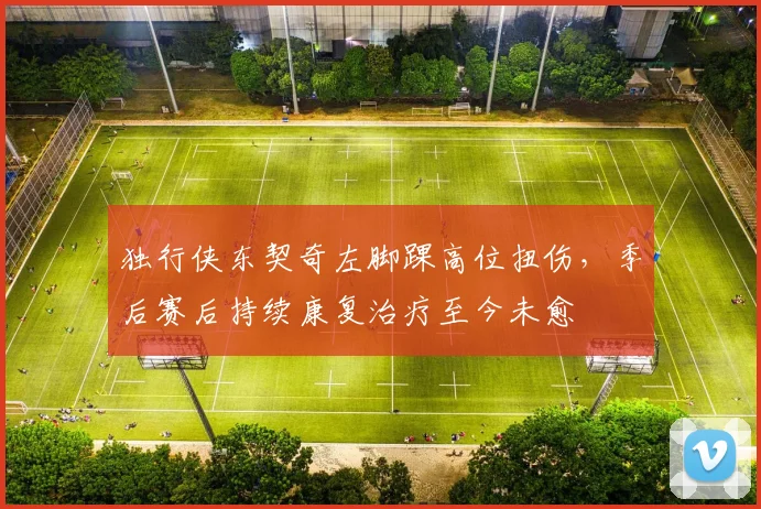 独行侠东契奇左脚踝高位扭伤，季后赛后持续康复治疗至今未愈