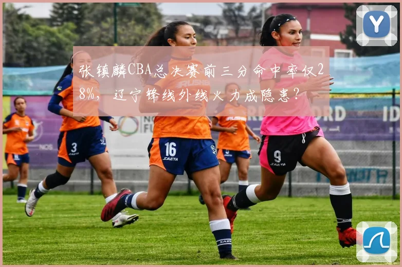张镇麟CBA总决赛前三分命中率仅28%，辽宁锋线外线火力成隐患？